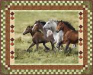 Born to be Free (Wide Open Spaces) by Born to be Free (Wide Open Spaces) by